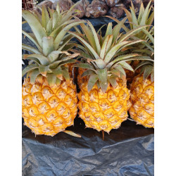 Pineapple