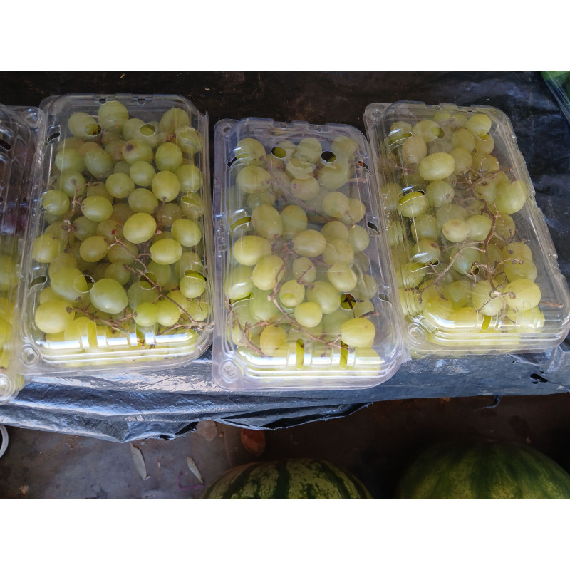 Grapes