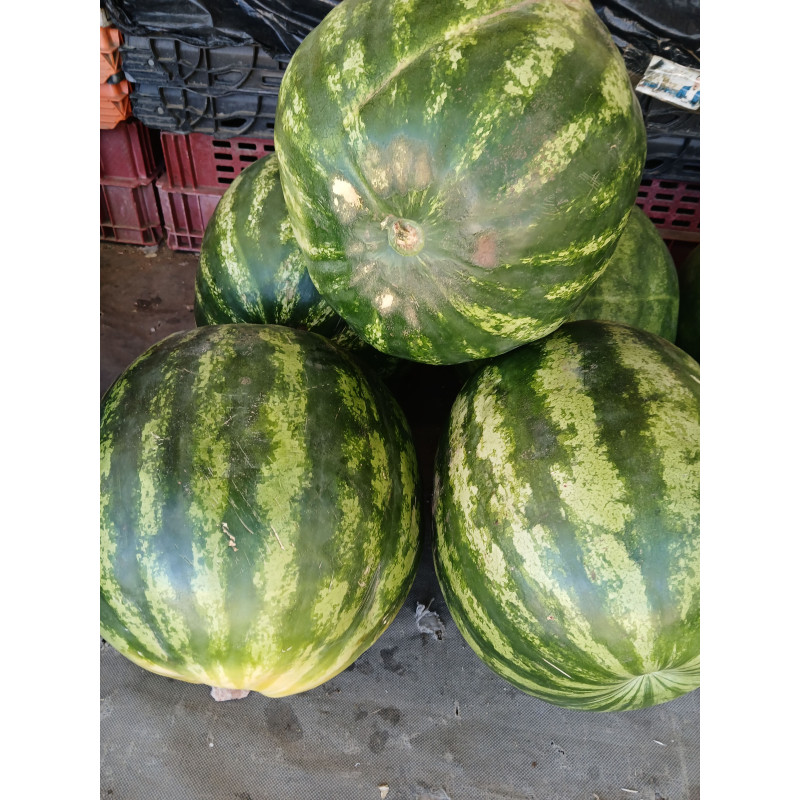 Watermelon