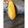 Papaya (per piece)