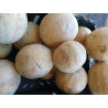 Cantaloupe Melon (per piece)
