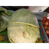 Cabbage (per piece)