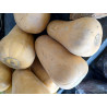 Butternut Squash (per piece)