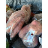 Sweet Potatoes