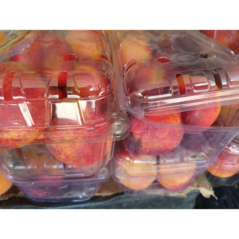 Nectarines (per pack)
