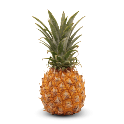 Pineapple Mini