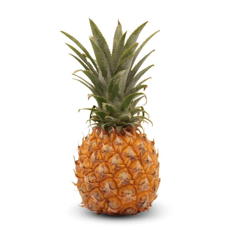 Pineapple Mini