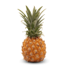 Pineapple Mini